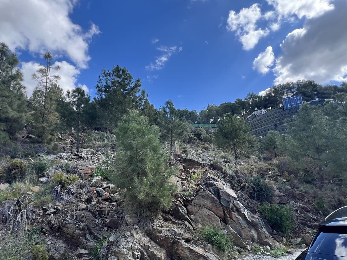 Residential Plot in El Madroñal — photo 2 of 8