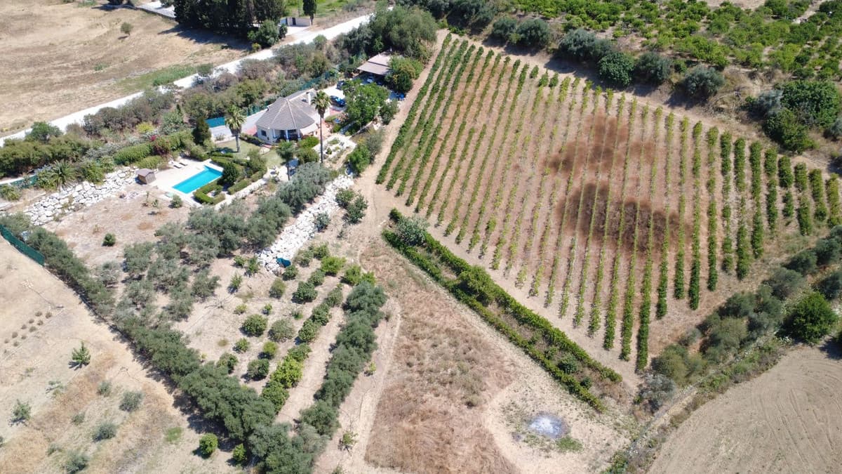 Cortijo in Alhaurín el Grande — photo 4 of 10
