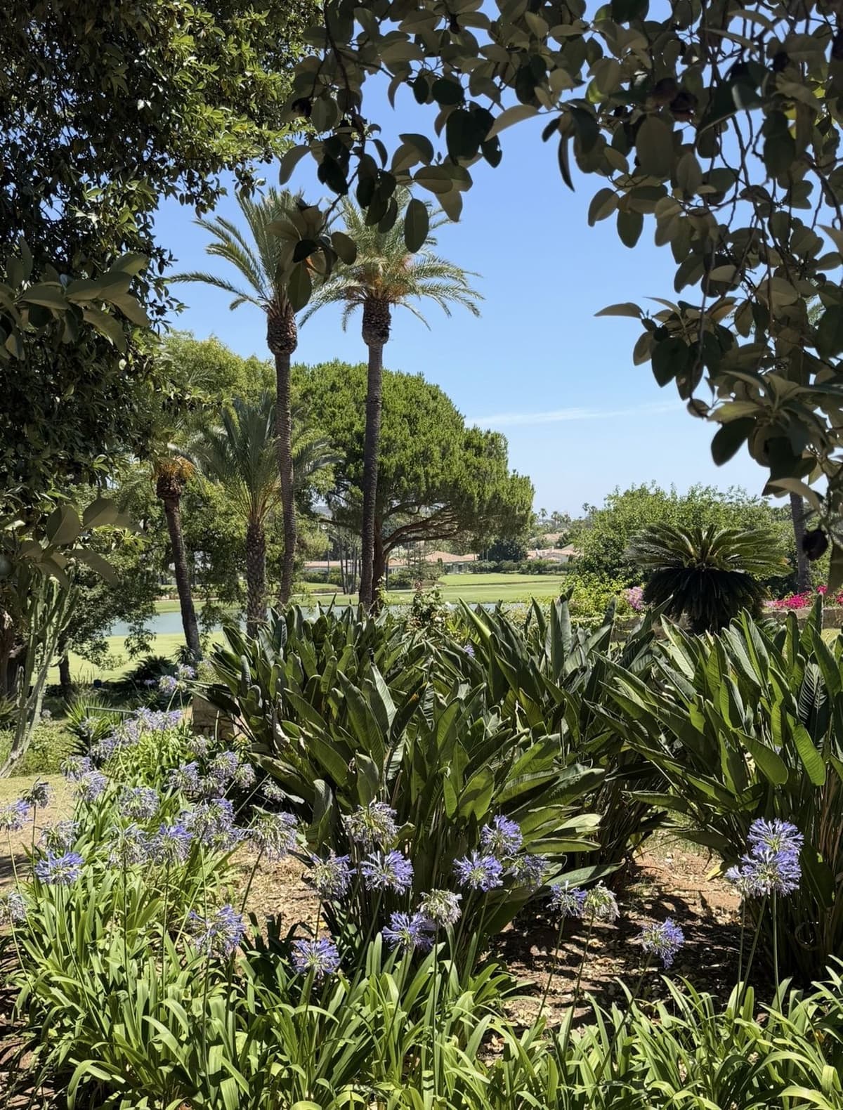 Detached Villa in Sotogrande Costa — photo 3 of 10