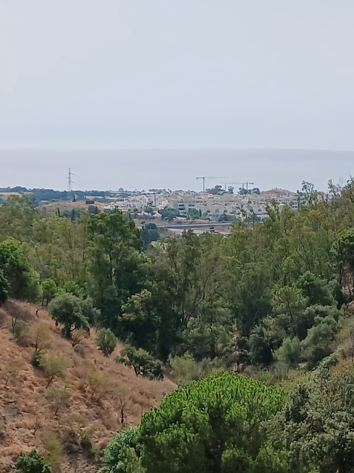 Cortijo in Estepona — photo 1 of 10
