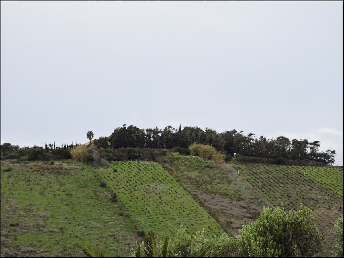 Cortijo in Manilva — photo 2 of 10