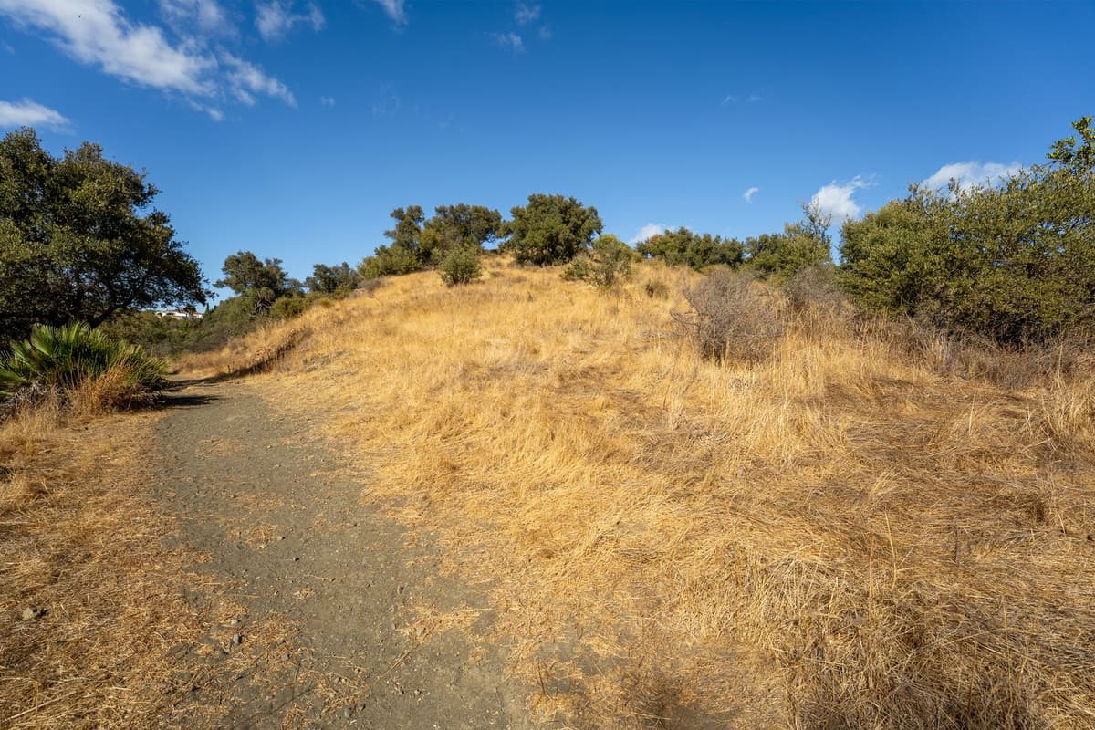 Land in Cerros del Aguila — photo 9 of 10