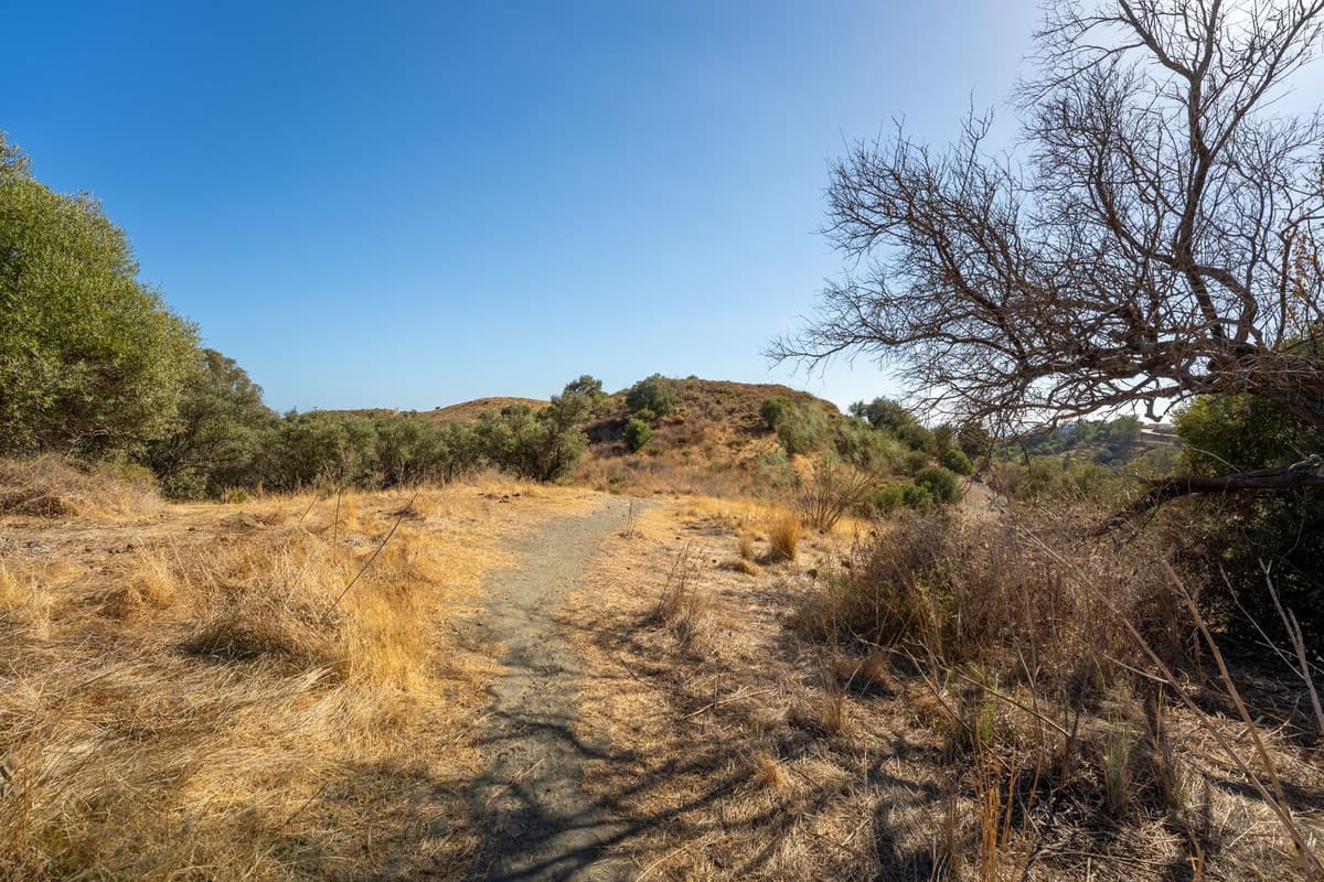 Land in Cerros del Aguila — photo 10 of 10
