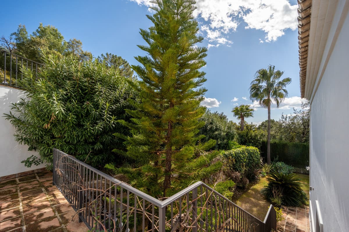 Detached Villa in Istán — photo 5 of 10