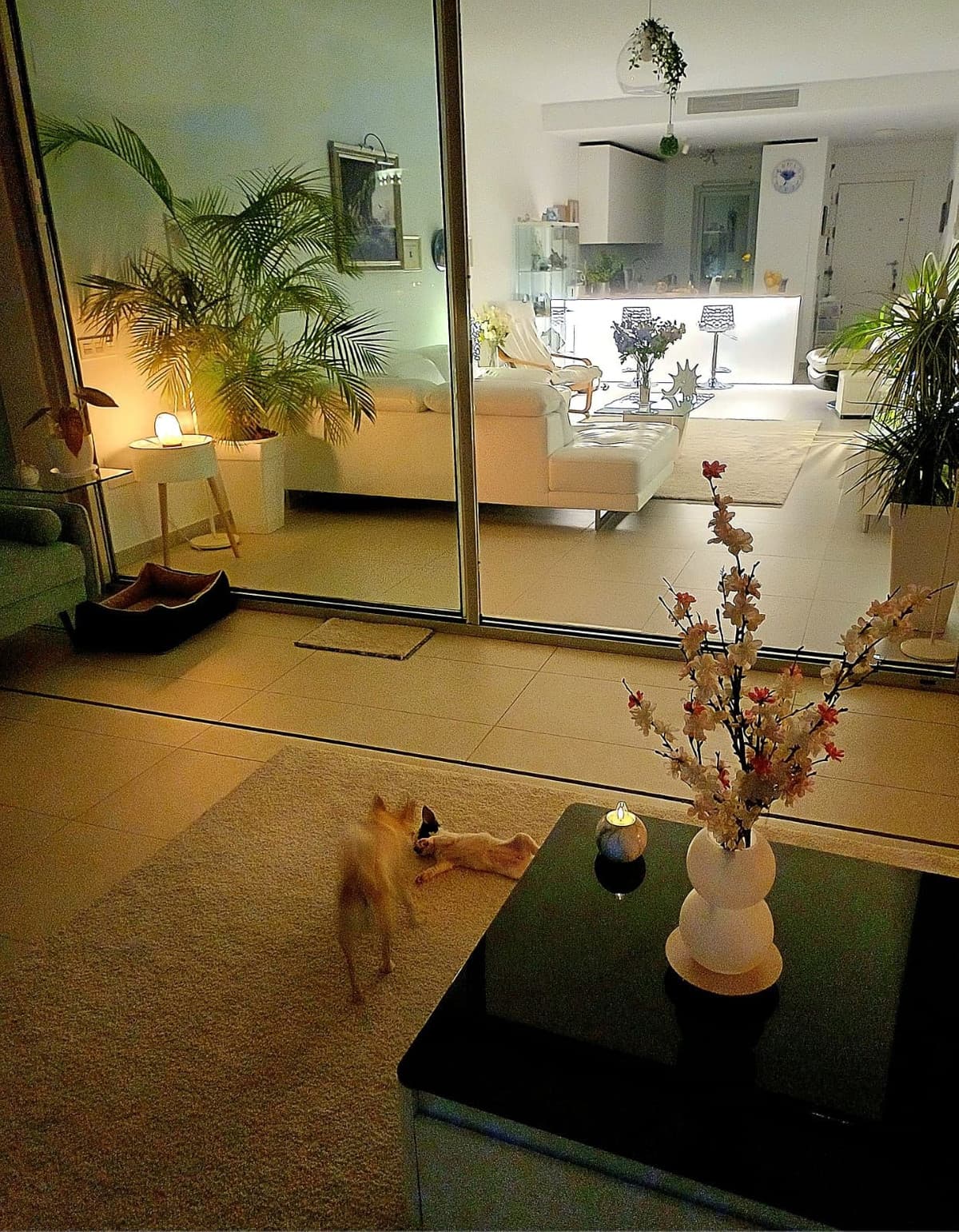 Middle Floor Apartment in Benalmadena — photo 6 of 10