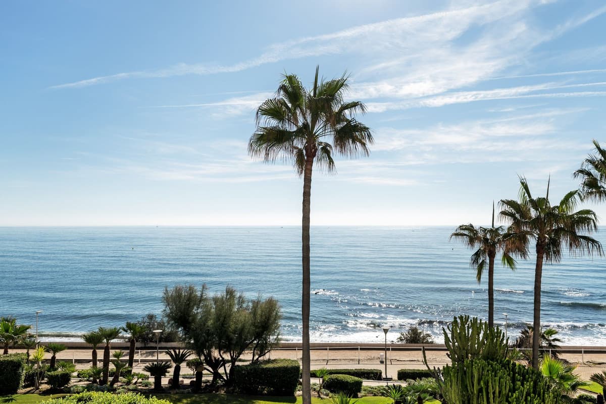 Ground Floor Apartment in Estepona — photo 7 of 10