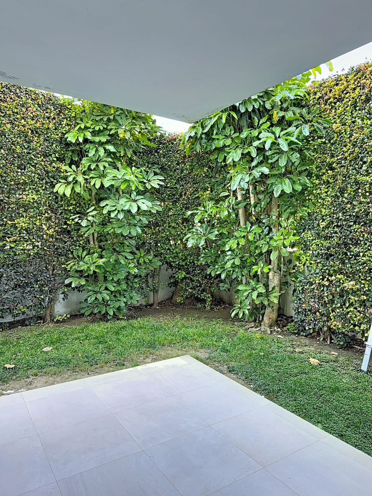 Ground Floor Apartment in Bel Air — photo 8 of 10
