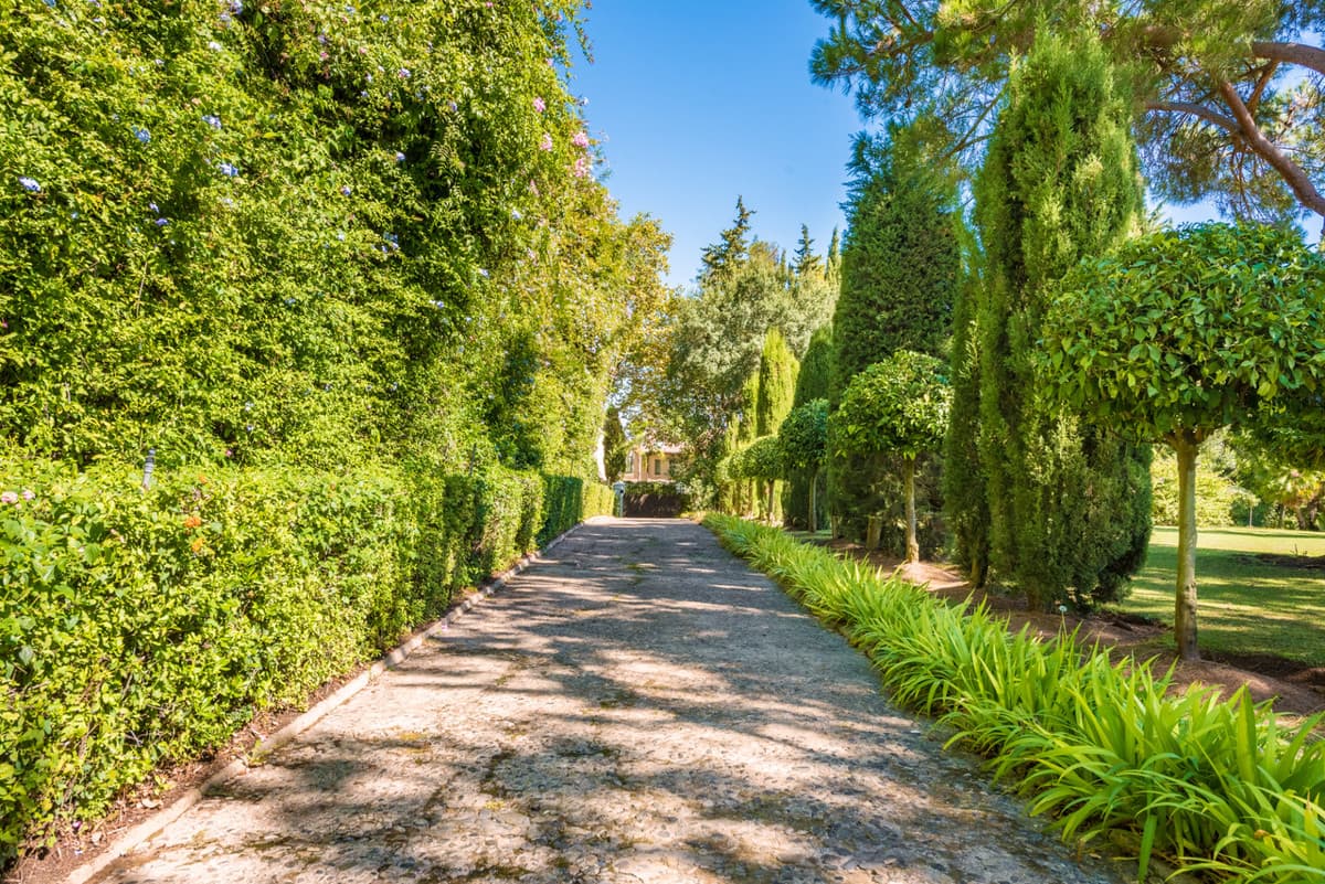 Detached Villa in Sotogrande Alto — photo 4 of 10