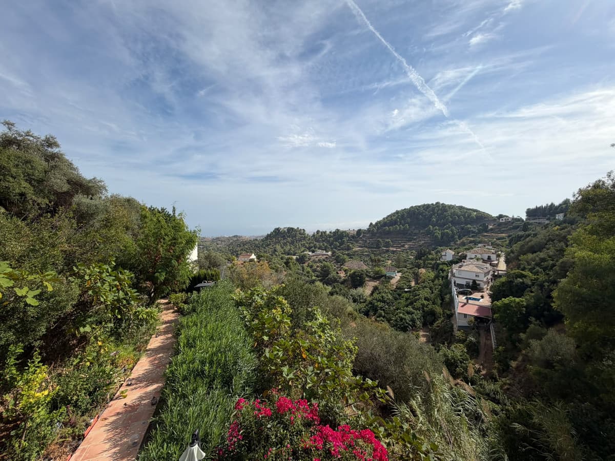 Detached Villa in Mijas Costa — photo 3 of 10